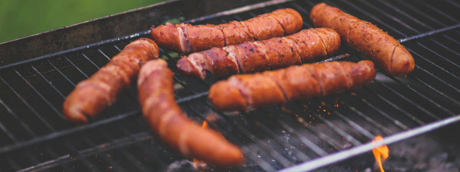 Lingui A Para Churrasco Quais As Melhores E Como Escolher Brasa